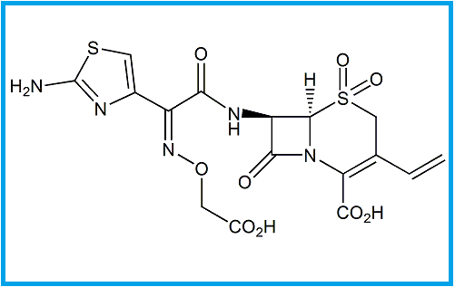 CEFIXIME SULFONE 